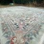 Rug Image 5