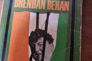 Brendan Behan bundle