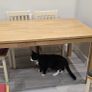 Dining Table Image 5