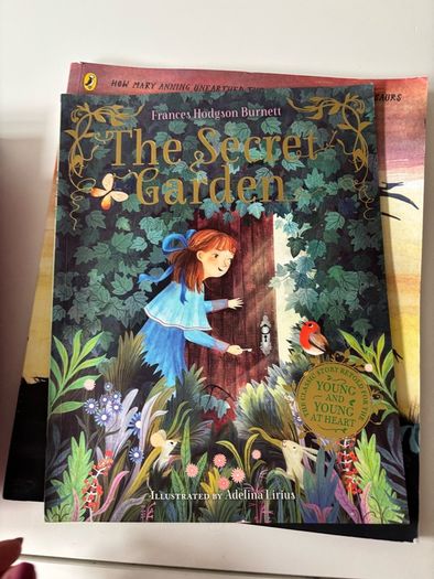 Girls books x4 ages 8-13