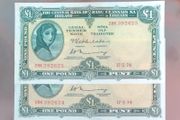 Irish one pound Lavery notes