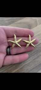 Stainless steel earrings