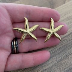 Stainless steel earrings