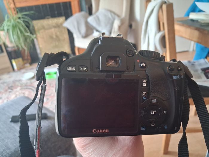 Canon 500d with IR filter removed with 2 lenses