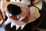 Tazmanian Devil. 70 CM. Free Tracked Postage!