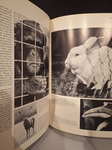 SALE!  THE BOOK OF PHOTOGRAPHY How to See and Take Better Pictures by John Hedgecoe