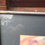 Art - Vintage Mixed Media ( Leo Duff) Image 9