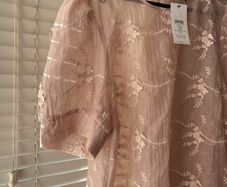 lipsy sheer top