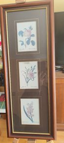 VTG BOMBAY COMPANY Framed Trio Floral Botanical Wall Art Prints