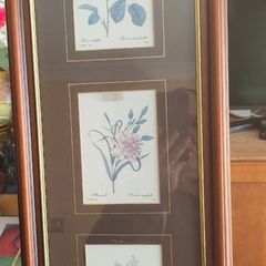 VTG BOMBAY COMPANY Framed Trio Floral Botanical Wall Art Prints