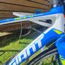 Giant Defy Image 5
