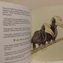 The Little Gibbon Who Lost His Song, story book Image 8