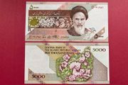 Iran  5,000  Rials  1993  Pick 145c   ( Uncirculated )