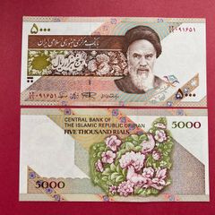 Iran  5,000  Rials  1993  Pick 145c   ( Uncirculated )