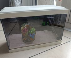 Ciano 20