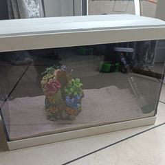 Ciano 20