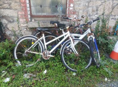 bikes