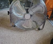 Fan