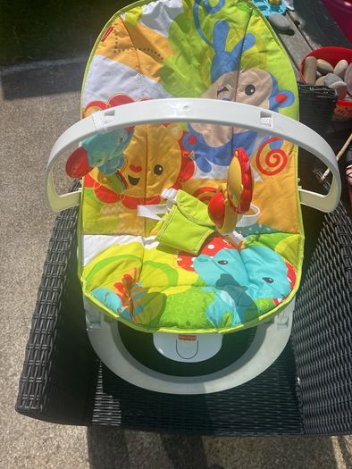 fisher price bouncer