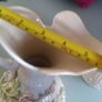 Antique Rare Belleek Pitchers Image 9