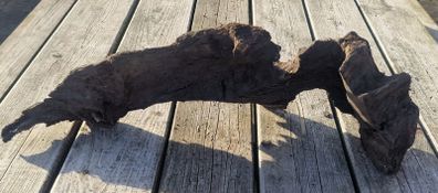 bog oak