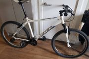 carrera valour