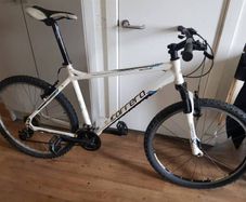 carrera valour