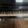 Grand Piano Paul Neumann Image 6