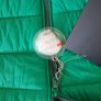 CMP Women's Green Padded Jacket - Size L Image 2