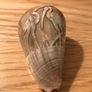 1900's Hand Carved Storks on Sea Shell Image 2