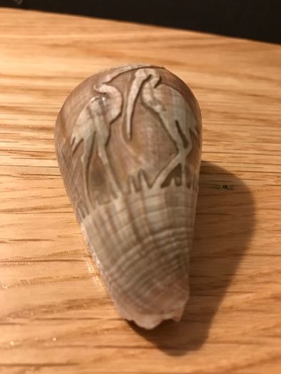1900's Hand Carved Storks on Sea Shell
