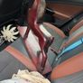 Free wooden horse Image 3