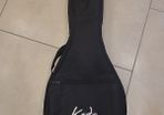 mandolin gig bag