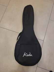 mandolin gig bag