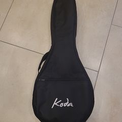 mandolin gig bag