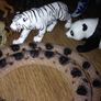 Collection of Jungle Animals 24 pieces Image 7