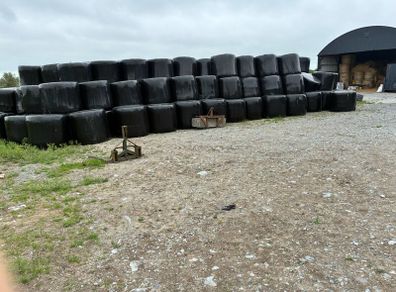 Top quality Silage and Hay Bales for sale