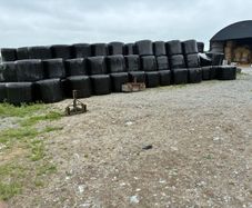 Top quality Silage and Hay Bales for sale
