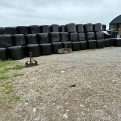 Top quality Silage and Hay Bales for sale