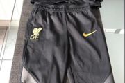 Boys Liverpool tracksuit 12/18