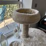 Cat Tree Image 3