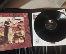 Lone Justice Shelter lp
