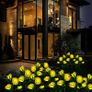 Solar Lights Outdoor Garden, Garden Light Solar Powered with 8 Rose Flowers Garden Ornaments, 2 Pack Yellow Outside Waterproof Solar Garden Lighting for Christmas Gift Valentines Gifts for him Image 3