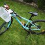 bike Image 4