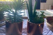 Artificial plant small pair