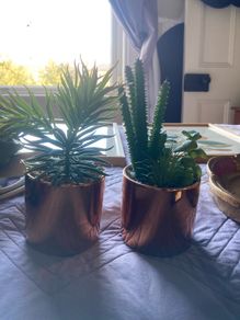 Artificial plant small pair