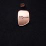 Gaisce , The Presidents Award Medal and Lapel Pin Badge Image 3