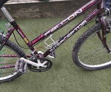 26 inch lady bike