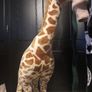 huge stuffed giraffe Image 9