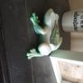 The Mystic Vision Frog Figurine Green White Resin Art Esoteric AllSeeing Eye Image 6